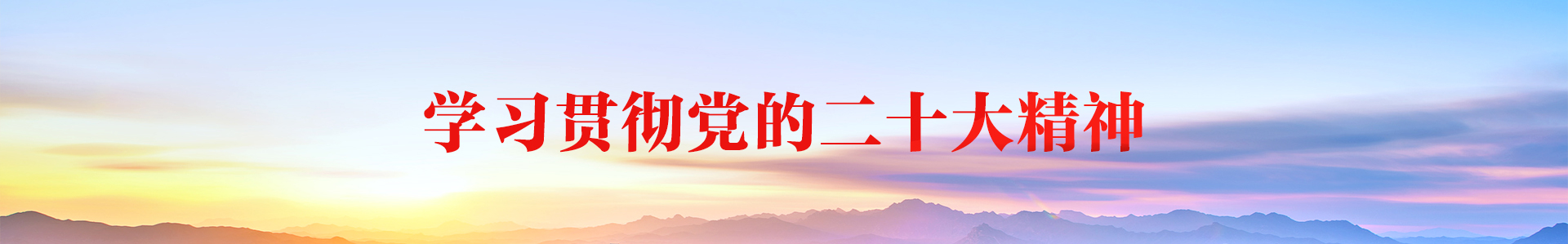 中国共产党第二十次全国代表大会(已归档)
