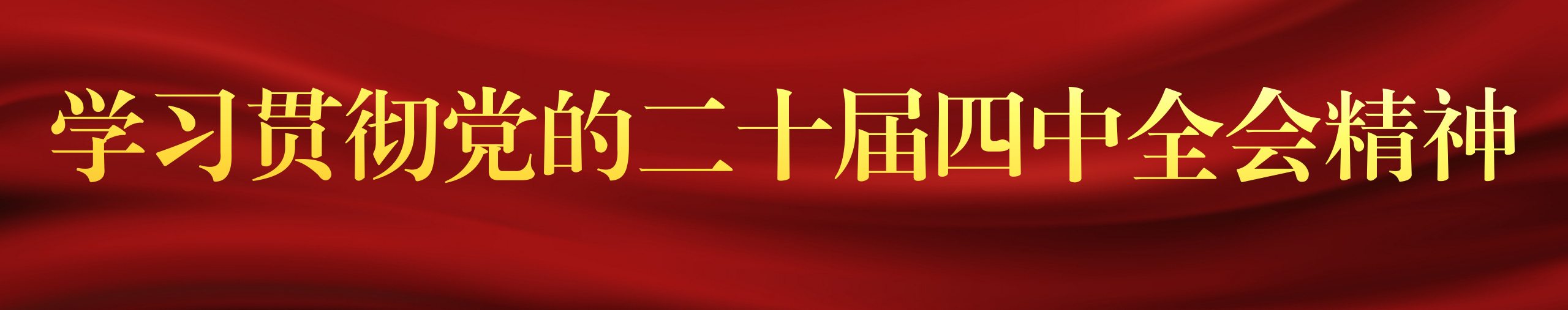 学习贯彻党的二十届四中全会精神